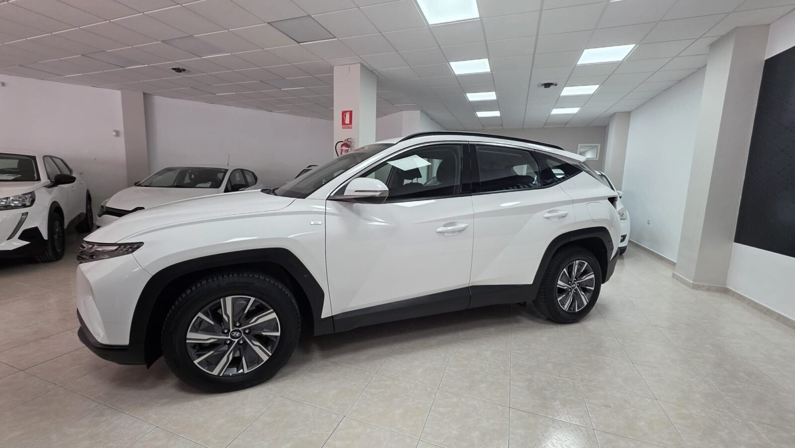 HYUNDAI Tucson 1.6 CRDI 48V Maxx