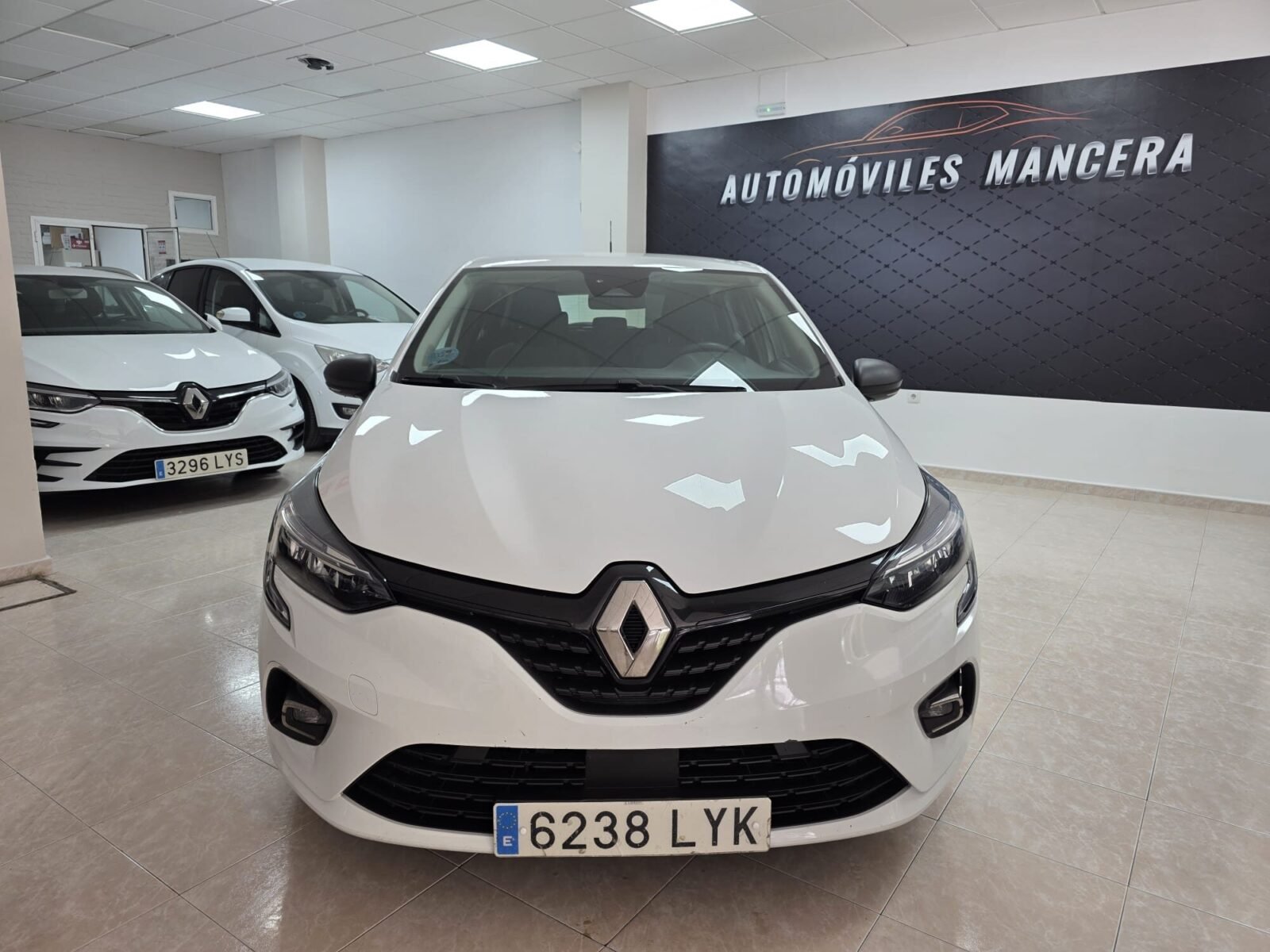RENAULT Clio bussines